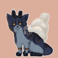 Thumbnail for MYO-019: Webby