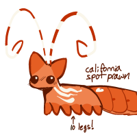 Thumbnail for MYO-085